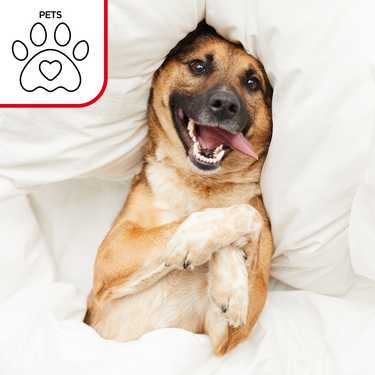 2 x Sleezzz Vital waterproof molleton pillowcase 40 x 80 cm